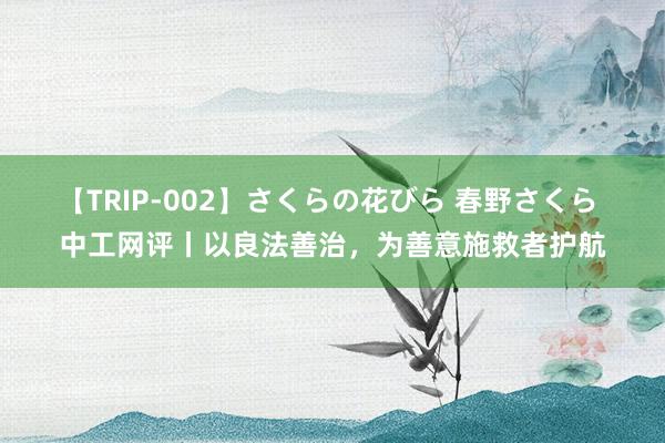 【TRIP-002】さくらの花びら 春野さくら 中工网评丨以良法善治，为善意施救者护航