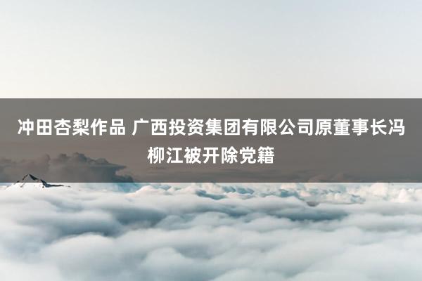 冲田杏梨作品 广西投资集团有限公司原董事长冯柳江被开除党籍