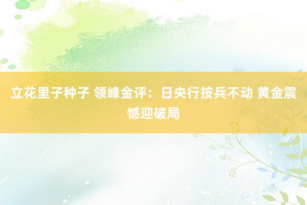 立花里子种子 领峰金评：日央行按兵不动 黄金震憾迎破局