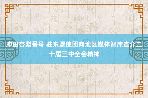 冲田杏梨番号 驻东盟使团向地区媒体智库宣介二十届三中全会精神