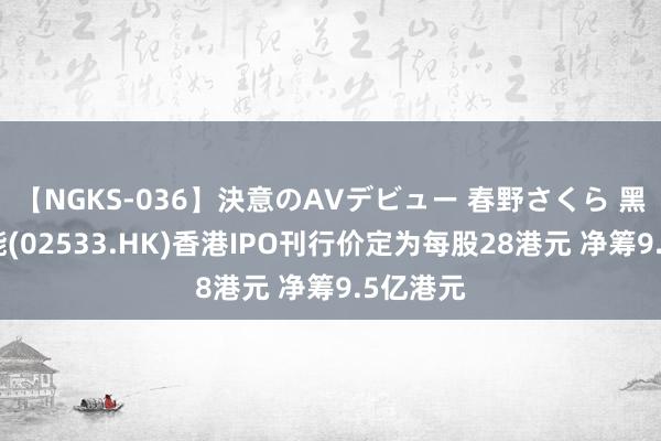 【NGKS-036】決意のAVデビュー 春野さくら 黑芝麻智能(02533.HK)香港IPO刊行价定为每股28港元 净筹9.5亿港元