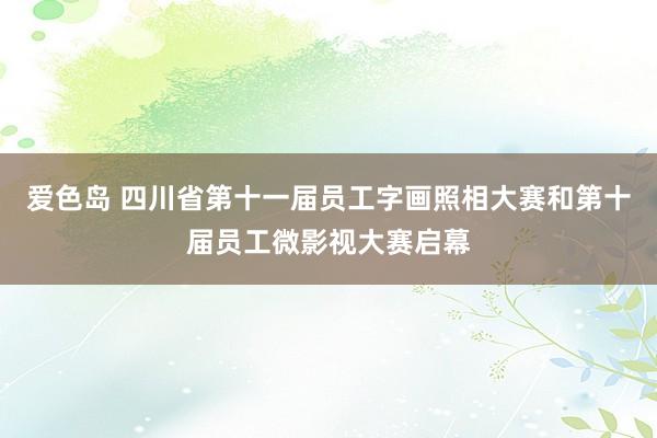 爱色岛 四川省第十一届员工字画照相大赛和第十届员工微影视大赛启幕