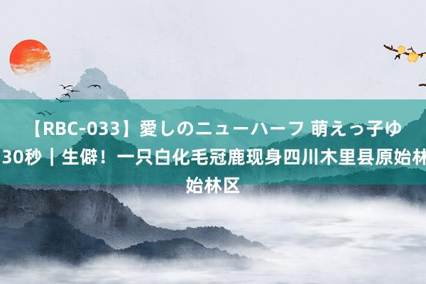 【RBC-033】愛しのニューハーフ 萌えっ子ゆか 30秒｜生僻！一只白化毛冠鹿现身四川木里县原始林区