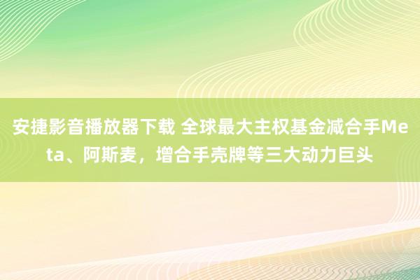 安捷影音播放器下载 全球最大主权基金减合手Meta、阿斯麦，增合手壳牌等三大动力巨头