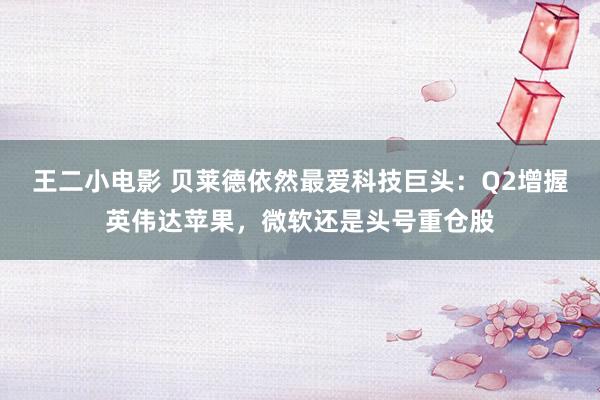 王二小电影 贝莱德依然最爱科技巨头：Q2增握英伟达苹果，微软还是头号重仓股