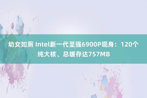 幼女如厕 Intel新一代至强6900P现身：120个纯大核、总缓存达757MB