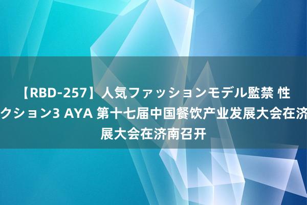 【RBD-257】人気ファッションモデル監禁 性虐コレクション3 AYA 第十七届中国餐饮产业发展大会在济南召开