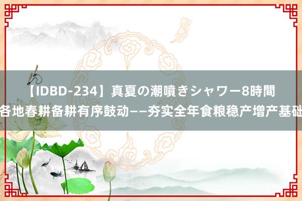 【IDBD-234】真夏の潮噴きシャワー8時間 各地春耕备耕有序鼓动——夯实全年食粮稳产增产基础