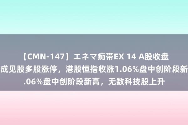 【CMN-147】エネマ痴帯EX 14 A股收盘涨跌不一，房屋检测成见股多股涨停，港股恒指收涨1.06%盘中创阶段新高，无数科技股上升