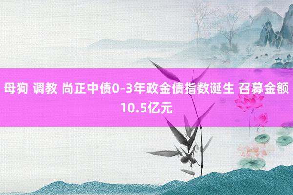 母狗 调教 尚正中债0-3年政金债指数诞生 召募金额10.5亿元