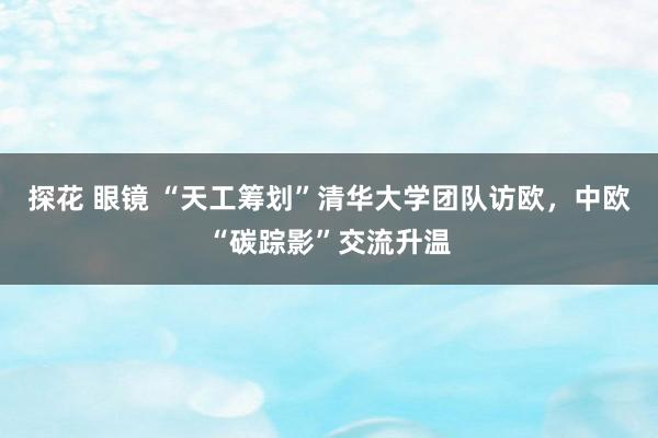 探花 眼镜 “天工筹划”清华大学团队访欧，中欧“碳踪影”交流升温