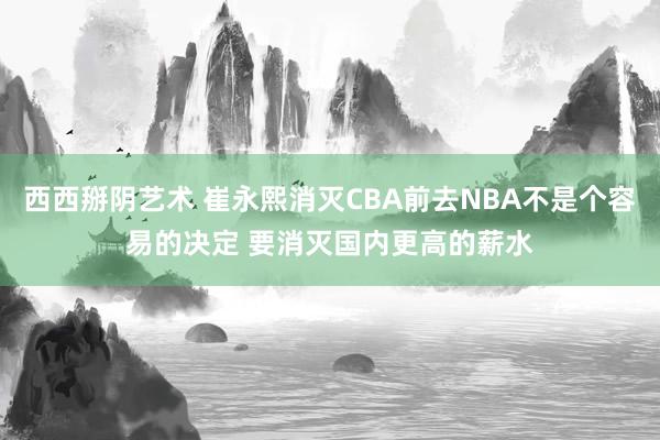 西西掰阴艺术 崔永熙消灭CBA前去NBA不是个容易的决定 要消灭国内更高的薪水