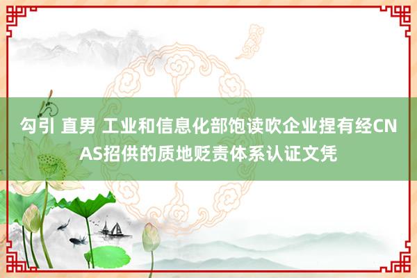 勾引 直男 工业和信息化部饱读吹企业捏有经CNAS招供的质地贬责体系认证文凭