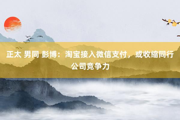 正太 男同 彭博：淘宝接入微信支付，或收缩同行公司竞争力