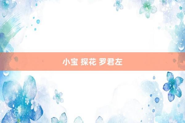 小宝 探花 罗君左