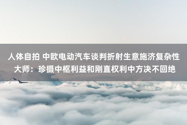 人体自拍 中欧电动汽车谈判折射生意施济复杂性 大师：珍摄中枢利益和刚直权利中方决不回绝