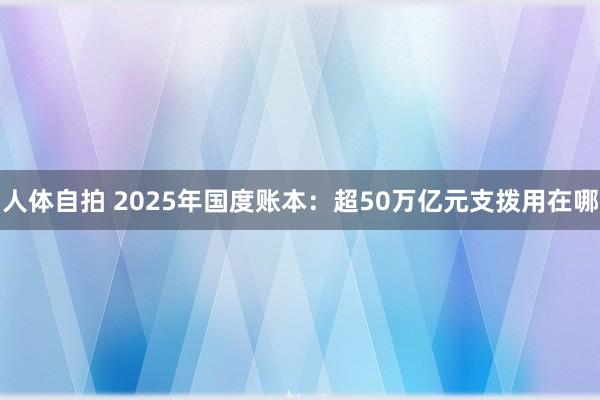 人体自拍 2025年国度账本：超50万亿元支拨用在哪